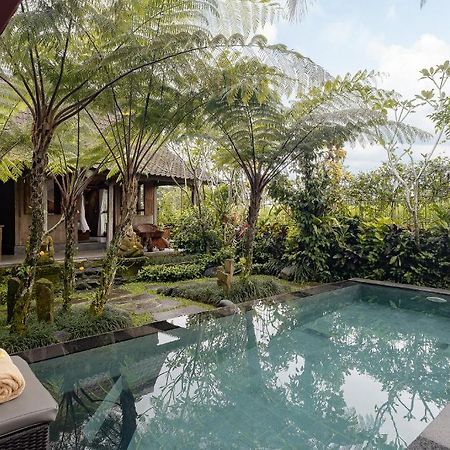 Moringa Ubud Villa Екстер'єр фото